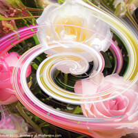 Buy canvas prints of Roses Digital Art  by Joy Newbould