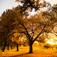 Buy canvas prints of Autumn Mornings by Karl Daniels