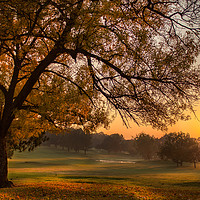 Buy canvas prints of Golf Course Sun Rise by Karl Daniels
