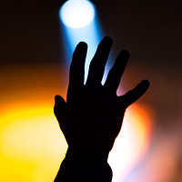 Buy canvas prints of Reaching for the Light by Karl Daniels