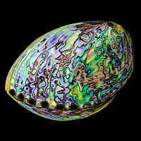 Buy canvas prints of Abalone shell by Jim Hughes