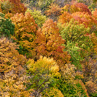 Buy canvas prints of Hillside in fall by Jim Hughes