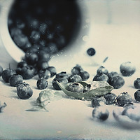 Buy canvas prints of Blueberries in Design by Tanja Riedel