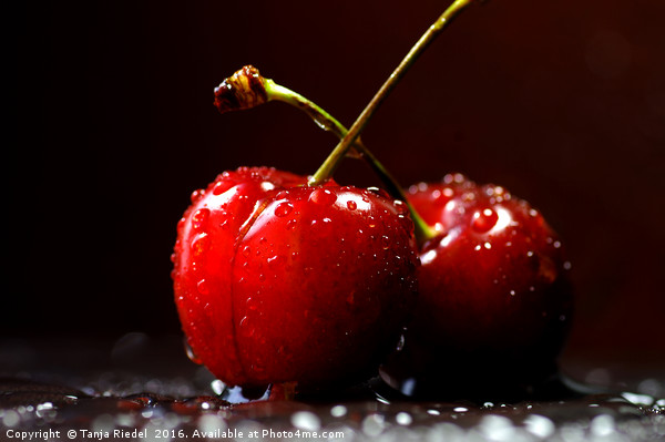 Cherries Love Picture Board by Tanja Riedel