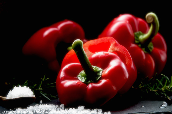 Red Pepper Still life Picture Board by Tanja Riedel
