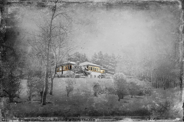 Villa on a Winterberg  Picture Board by Tanja Riedel