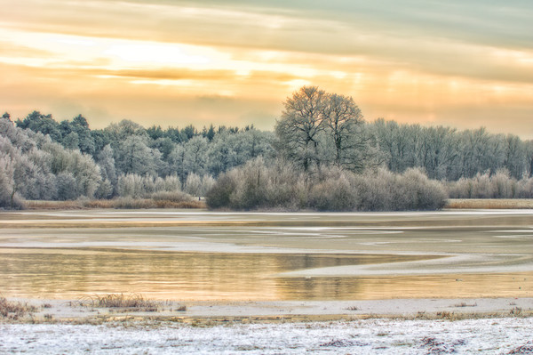 Winter landscape nostalgia Picture Board by Tanja Riedel