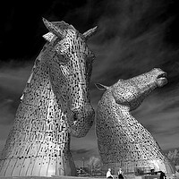 Buy canvas prints of The Kelpies by Tony Bishop