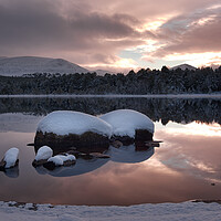Buy canvas prints of Outdoor Sunset on Loch Morlich Aviemore by Tony Bishop