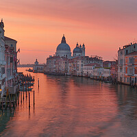 Buy canvas prints of Venice-Accademia bridge Sunrise  by Tony Bishop