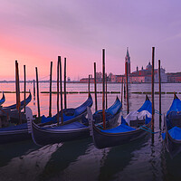 Buy canvas prints of Gondola,s at the Riva degli Schiavoni Venice by Tony Bishop
