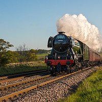 Buy canvas prints of The Flying Scotsman by Robin Purser