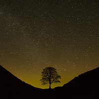 Buy canvas prints of Aurora Over Sycamore Gap by Robin Purser