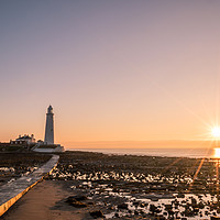 Buy canvas prints of Sunrise at St Mary's Lighthouse by Robin Purser