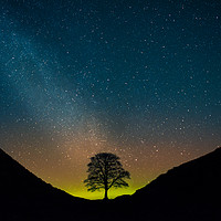 Buy canvas prints of The Remnants of an Aurora Over Sycamore Gap by Robin Purser
