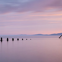 Buy canvas prints of A Solway Blush by Fiona Smith