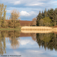 Buy canvas prints of Forfar Loch Country Park Angus Scotland by Joe Dailly