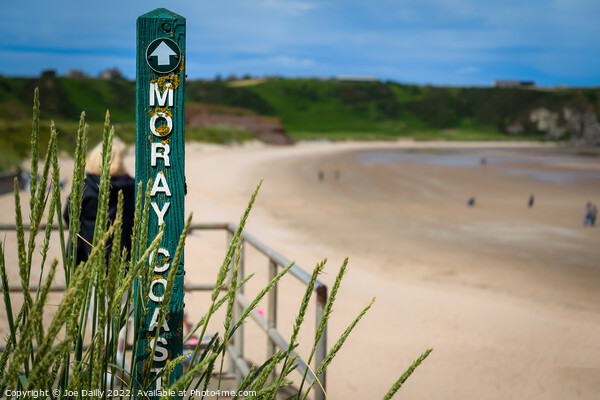Moray Coastal Path Picture Board by Joe Dailly