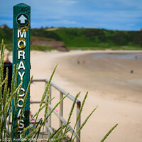 Buy canvas prints of Moray Coastal Path by Joe Dailly