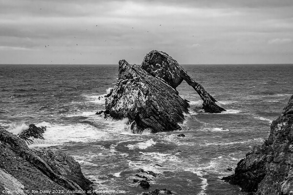 Bow Fiddle Rock, Portknockie, Scotland in Mono Picture Board by Joe Dailly