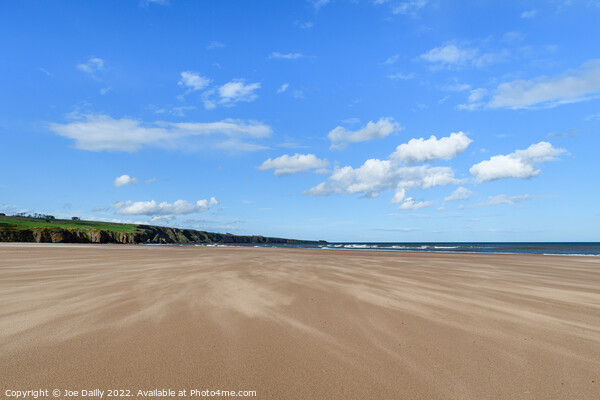 Sand blowing across Lunanbay beach Picture Board by Joe Dailly