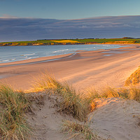 Buy canvas prints of Golden Hour on Lunanbay Beach by Joe Dailly
