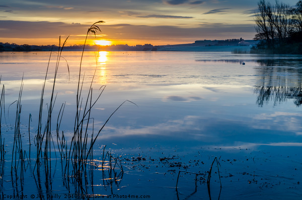 Peaceful Rescobie Loch Sunrise Picture Board by Joe Dailly