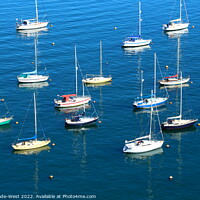 Buy canvas prints of Sailing boats in Brixham Harbour  by Tom Wade-West