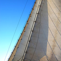 Buy canvas prints of Headsails by Tom Wade-West
