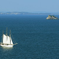 Buy canvas prints of Tall Ship Passing Thatcher's Rock by Tom Wade-West
