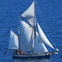 Buy canvas prints of Gaff-Rigged Ketch Tectona sailing in Torbay by Tom Wade-West