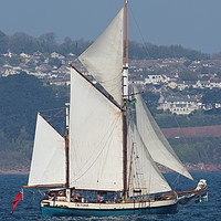 Buy canvas prints of Gaff-Rigged Ketch Tectona sailing in Torbay by Tom Wade-West