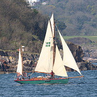Buy canvas prints of Moosk sailing from Fishcombe Cove, Brixham by Tom Wade-West