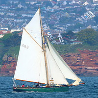 Buy canvas prints of Pegasus sailing in Torbay by Tom Wade-West