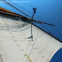 Buy canvas prints of Sail and Rigging of Brixham Trawler 'Leader' by Tom Wade-West