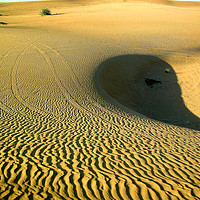 Buy canvas prints of Deserted Arabian desert by Rhonda Surman