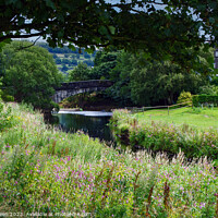 Buy canvas prints of Brearley Bridge and the River Calder by Colin Green