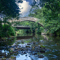 Buy canvas prints of Beggar's Bridge and the River Esk, Glaisdale by Colin Green