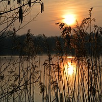 Buy canvas prints of Sunset at Brimpton Lakes Berkshire by Brian Pearce