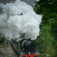 Buy canvas prints of The Flying Scotsman by Brian Pearce