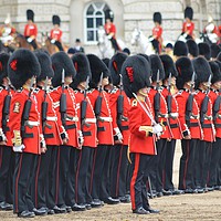 Buy canvas prints of The Queens Guard by Brian Pearce