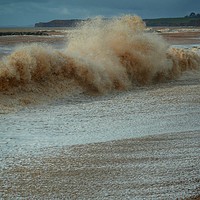 Buy canvas prints of Sidmouth - Splash! by Brian Pearce