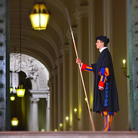 Buy canvas prints of Swiss Guard by Brian Pearce