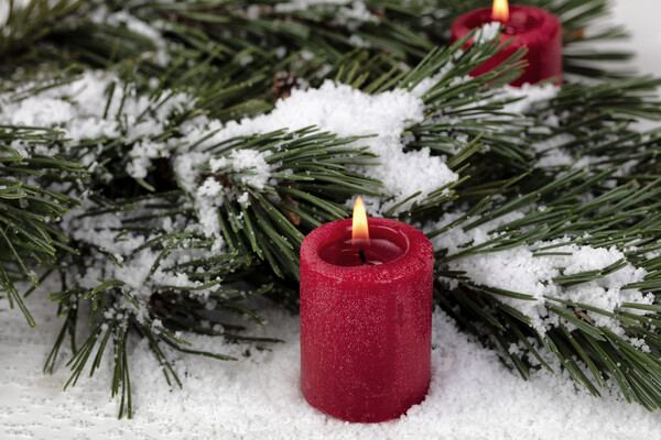 Close up view of a glowing red candle with snow covered fir tree Picture Board by Thomas Baker