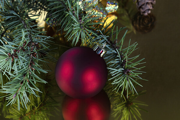 Close up of a red ornament with fir branches on a gold backgroun Picture Board by Thomas Baker