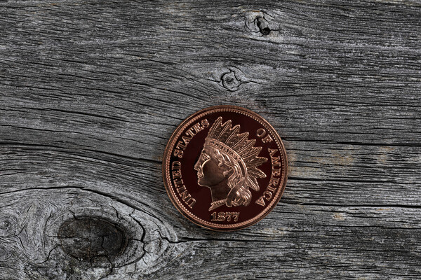 Single US Indian head one cent coin on rustic wood for numismati Picture Board by Thomas Baker