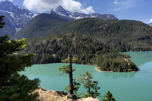 Glacier mountain lake in the north Cascades of Was Picture Board by Thomas Baker