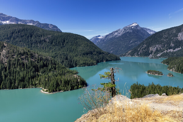 Glacier mountain lake in the north Cascades of Washington State  Picture Board by Thomas Baker