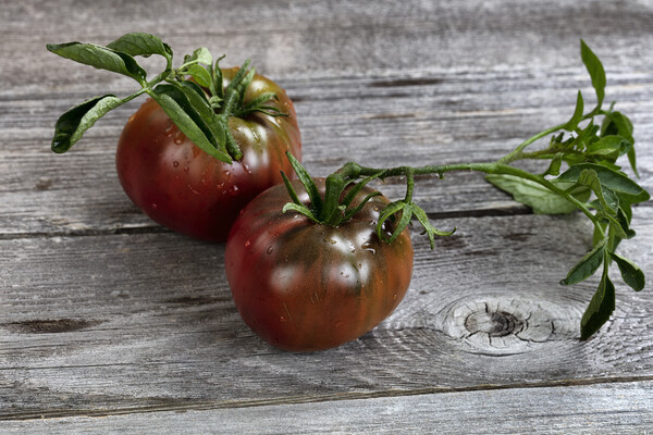 Ripe organic tomatoes on rustic wooden table in close up view   Picture Board by Thomas Baker