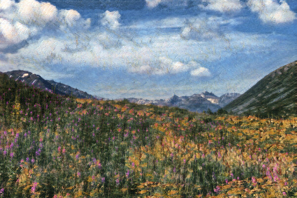 Digital painting of Alaska fireweed flowers in meadow during sum Picture Board by Thomas Baker